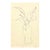 "Vase of Butterfly Flowers" Contemporary Ink Painting on Handmade Paper by Martha Holden. For Sale