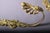 19th Century French Gilt Bronze Curtain Holdbacks with Foliate Scrolls, Set of 3 For Sale - Image 9 of 10
