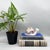 Charming 1980s Japanese porcelain snail figurine from the Tapestry Collection by Action Industries, Inc. The whimsical...