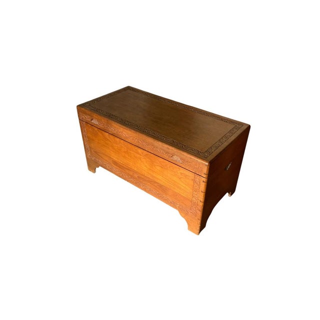 Camphor Wood Blanket Chest, 1950 For Sale - Image 14 of 14