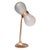 Bacupari Lamp by Clément Thevenot For Sale - Image 12 of 12