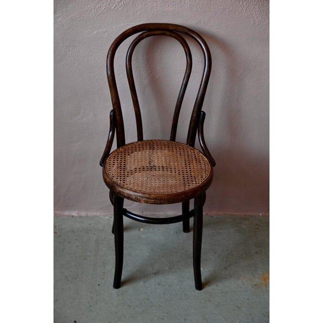 N°18 Chairs in Bentwood, Set of 2 For Sale - Image 4 of 14