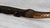 Mid 20th Century Vintage 23" African Crocodile Wood Carved Sculpture For Sale - Image 5 of 10