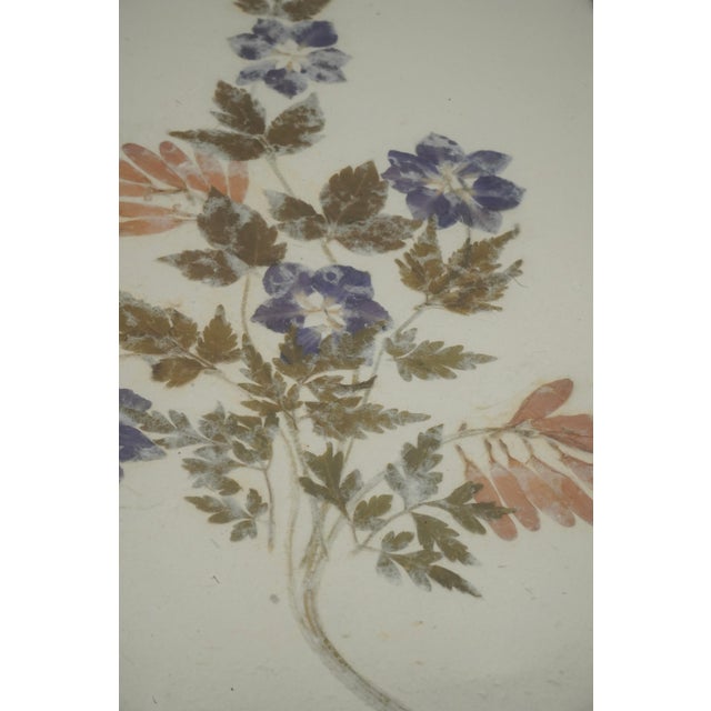 Gold Set of 5 Vintage Pressed Wildflower Art on Hand Deckled Edge Paper For Sale - Image 8 of 11