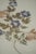 Gold Set of 5 Vintage Pressed Wildflower Art on Hand Deckled Edge Paper For Sale - Image 8 of 11
