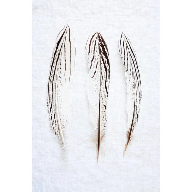 Three Feathers by Trinette + Chris, 12" x 18" Unframed Three Feathers by Trinette + Chris Print, 12" x 18"