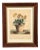 Early 19th Century Potted Auricula Engraving by Jean-Louis Prévost in Pine Frame For Sale