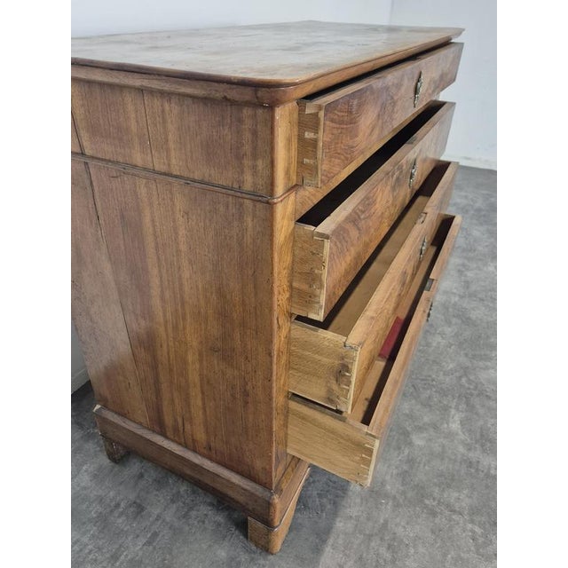 Louis Philippe Style Chest of Drawers in Burr Walnut Veneer For Sale - Image 9 of 12