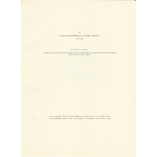 Giorgio Morandi, Shell Valve, 1957, Lithograph For Sale - Image 3 of 5