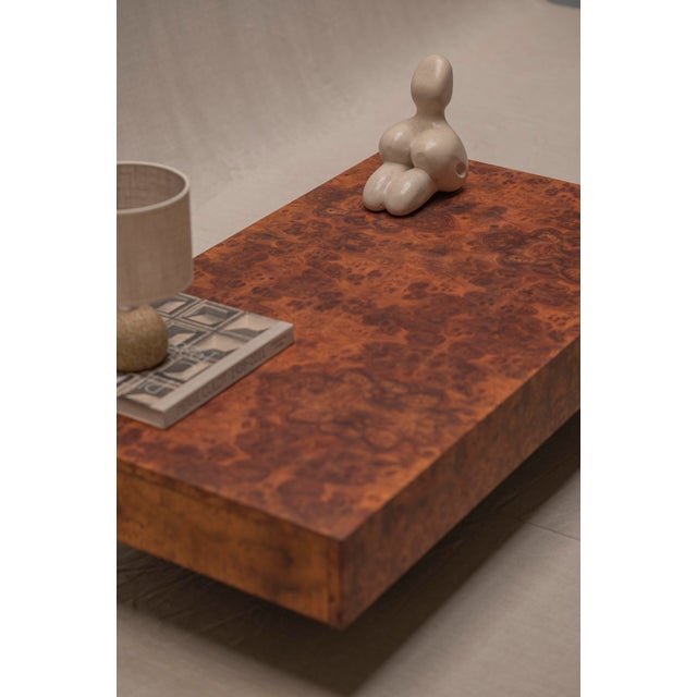 Vintage Burl Walnut Coffee Table by Jean-Claude Mahey, 1970s For Sale - Image 13 of 16