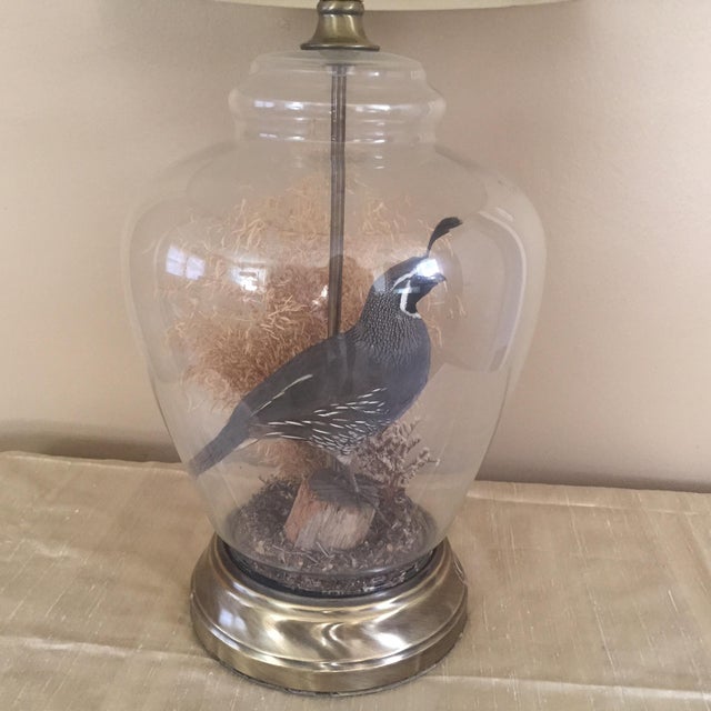 Vintage Quail Taxidermy Lamp Chairish