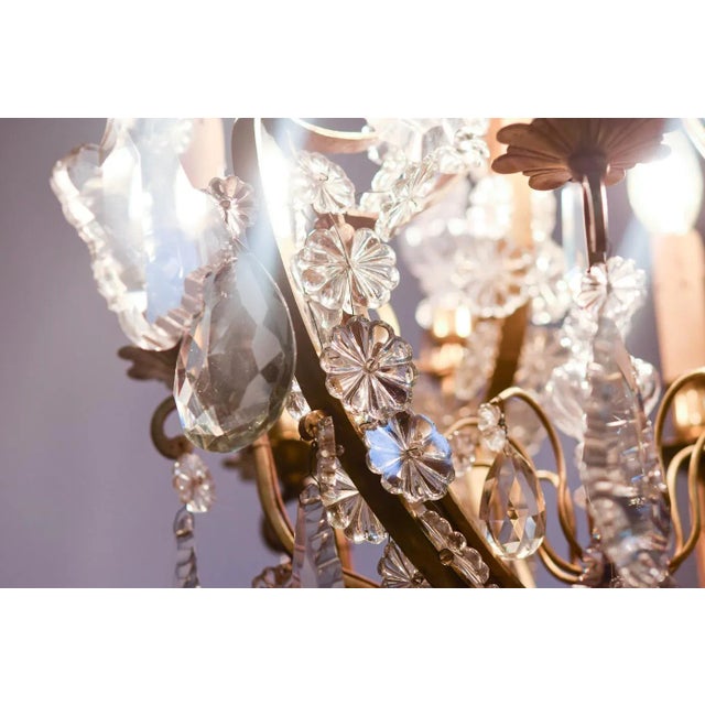 French Pampilles Chandelier in Glass For Sale - Image 8 of 11