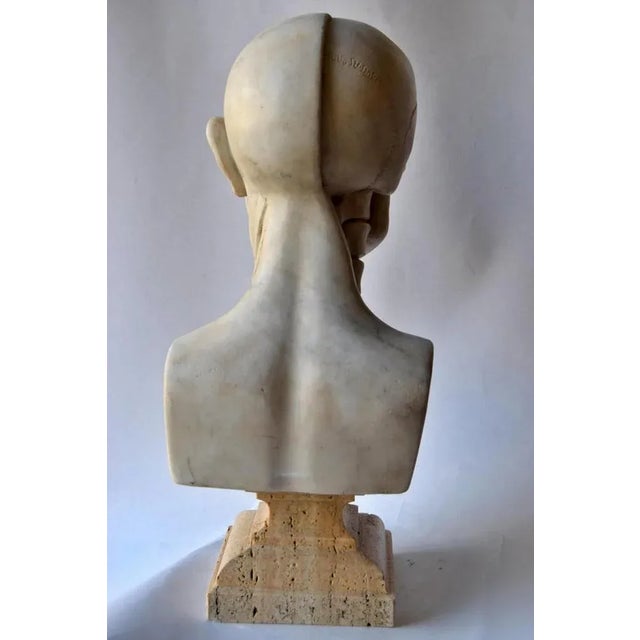 White Anatomical Sculpture, Early 20th Century, Marble For Sale - Image 8 of 11