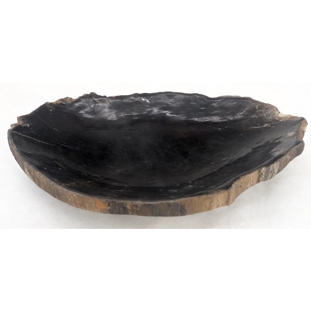 Mid-Century Modern Petrified Wood Heart Shape Solid Black Elongated Bowl Dish Large Plate Ashtray For Sale - Image 3 of 8