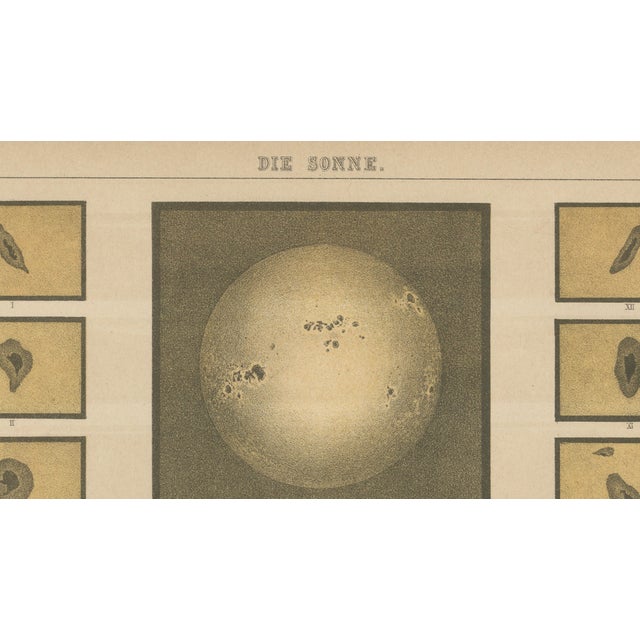 Black Antique Solar Study Chart, 1890s For Sale - Image 8 of 9