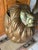 1970s Sergio Bustamante Vintage Copper and Brass Large Wall Mount Lion Head Bust Signed & Numbered 5/100 For Sale - Image 5 of 12