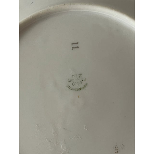 Traditional 10 Antique Bird Parrots Porcelain Plates Checz For Sale - Image 3 of 6