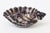 Mid-Century Modern Vintage Italian Coastal Glazed Ceramic Snail Bowl, Purple, Champagne, Off White, 1960's For Sale - Image 3 of 12