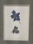 Framed Pair of Pressed Blue Delphinium Flowers For Sale - Image 4 of 9