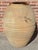 Large Mediterranean olive jar in a buff surface with nice horizontal texturing to the body. There is a brown glaze rim...