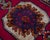 1970s Hand-Knotted Cordi Rug, 1970s For Sale - Image 5 of 8