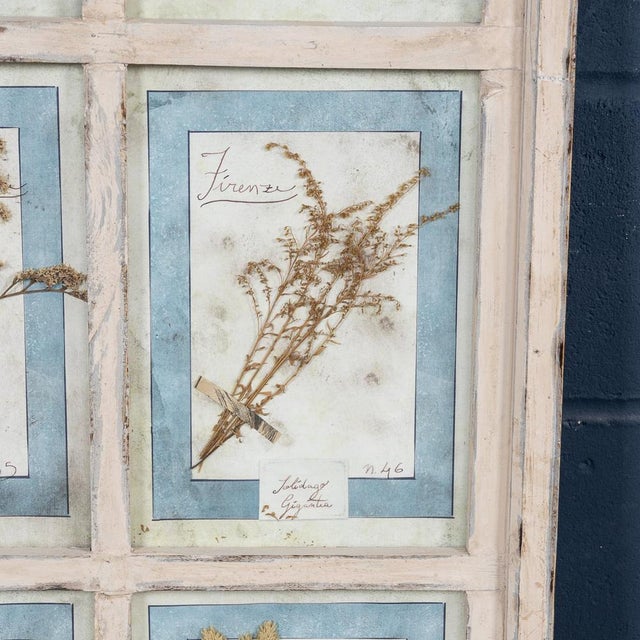 Large Italian Oak Frame Containing Pressed Flowers and Herbs, 1980s For Sale - Image 13 of 18