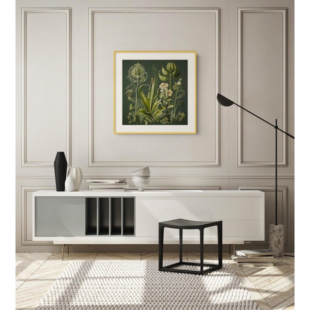 English Dark Green Antique Botanical Garden Study No. 12 - Natural History Fine Art Print For Sale - Image 3 of 4