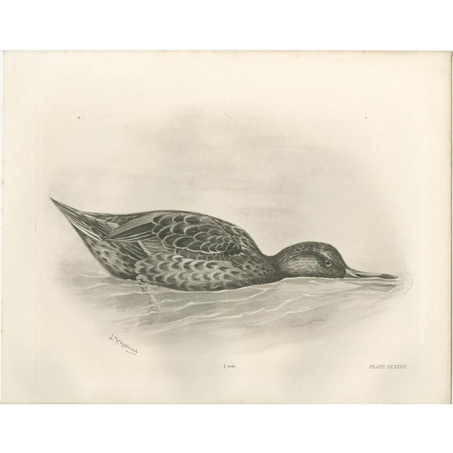 After Lilian Medland, Duck Feeding, 1909, Print For Sale - Image 3 of 9