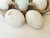 Farmhouse Lot of 5 Vintage Nesting Milk Glass Eggs For Sale - Image 3 of 4