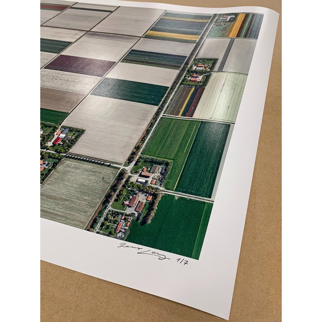 "AV_Tulip_Fields_001" Contemporary Limited Edition Fine Art Photograph Print by Bernhard Lang For Sale - Image 9 of 12