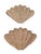 Coastal Wicker Clam Shell Wall Hangings-a Pair For Sale - Image 11 of 13
