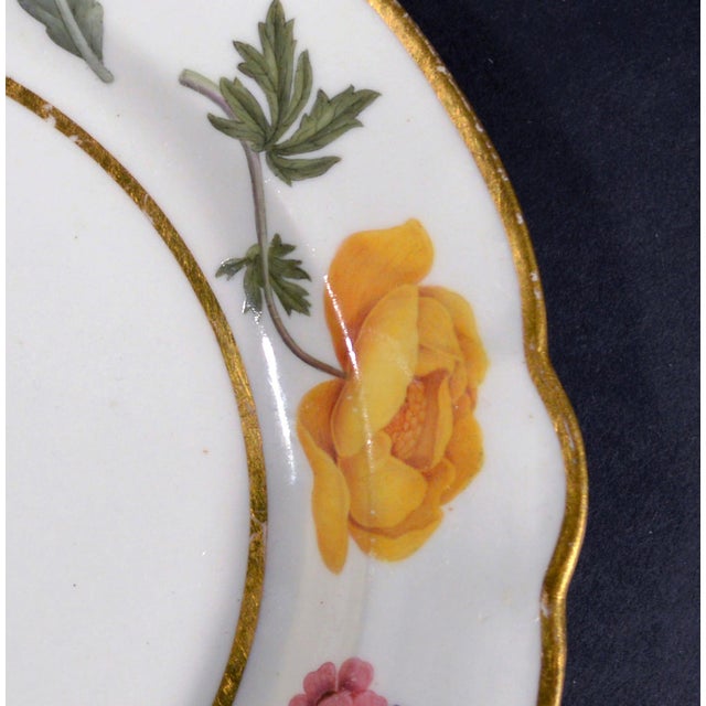 Ceramic Flight & Barr Worcester Porcelain Botanical Dessert Plate, Circa 1792–1804 For Sale - Image 7 of 8