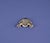 Metal Handmade Silver Frog Brooch For Sale - Image 7 of 10