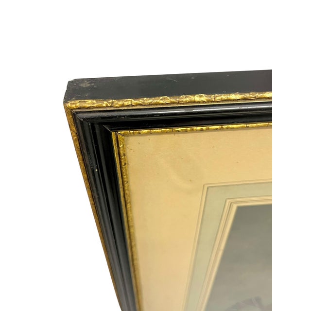 Antique Pair of English Game Bird Sporting Hand Colored Engravings in Ebonized Frames For Sale - Image 9 of 18