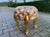 1970s French Louis XVI Gilt Beech Damask Bench - 1 Pc For Sale - Image 9 of 16
