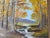 1970s 1970s Vintage Impressionist Autumn Landscape Oil Painting on Board by Helen Milford For Sale - Image 5 of 11