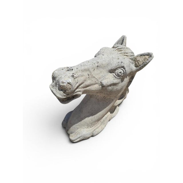 Horse Head Sculpture in Reconstituted Stone, 1990s For Sale - Image 4 of 8