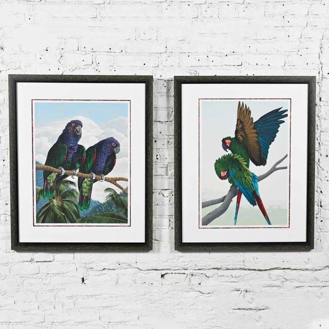 Vintage Dallas John Limited Edition Hand Signed Imperial Mates & Military Macaws Fine Art Serigraph Parrots For Sale - Image 13 of 13