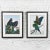Vintage Dallas John Limited Edition Hand Signed Imperial Mates & Military Macaws Fine Art Serigraph Parrots For Sale - Image 13 of 13