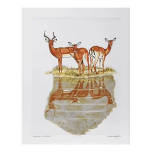 1970s "Impalas at Waterhole" Lithograph by Caroline Schultz