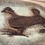Vintage Ceramic Dish by Marie-Henriette Bataille for Dour, 1970 For Sale - Image 3 of 10