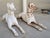 Late 19th Century J. W. Fiske Antique Recumbent Cast Iron Greyhounds a Pair For Sale - Image 5 of 11