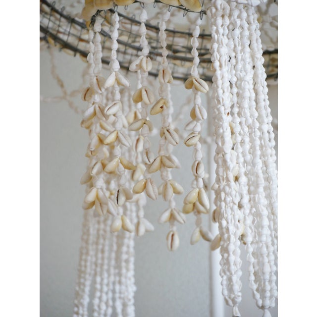 Mid-Century Modern Vintage Shell Decoration, 1970s For Sale - Image 3 of 5