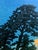 Rare Prewar First Edition Japanese Woodblock Print Moon at Magome Kawase Hasui For Sale - Image 9 of 11