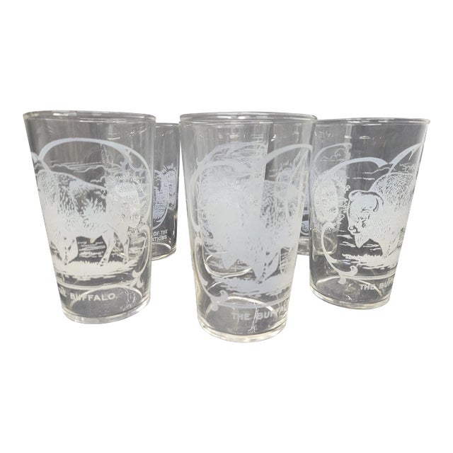 Vintage Buffalo New York Etched Drinking Glasses Set of 6 Chairish