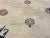 1900s Tan Beige Geometric Antique Chinese Peking Rug 10' X 13'6'' Handknotted Wool Carpet For Sale In New York - Image 6 of 6