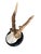 Roe deer trophy mounted on a shiny black wood plaque