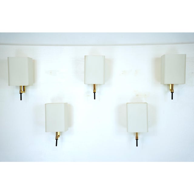 Ivory Mid-Century Sconces from Stilnovo, Italy, 1950s, Set of 5 For Sale - Image 8 of 9