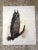 1975 Martha Cawley woodblock print on rice paper, Long-Eared Owl. It is from a woodblock series entitled, “The North...