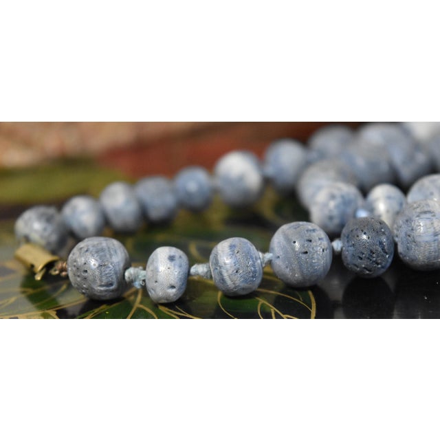 Vintage Natural Denim Blue Sponge Coral Hand Knotted Bead Necklace 32" Long For Sale - Image 10 of 15